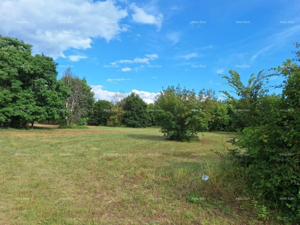 Image 6210088 - 1