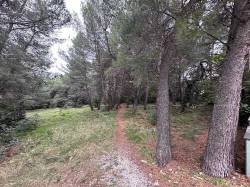 Thumbnail 6210110 - 1