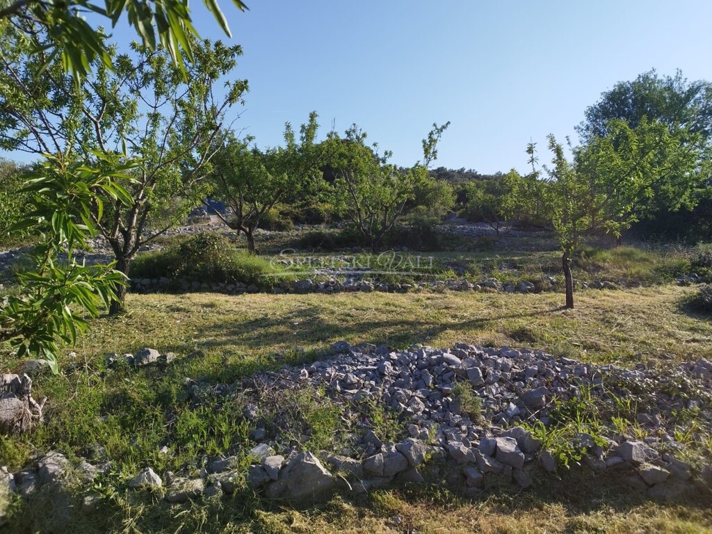 Image 6210165 - 6