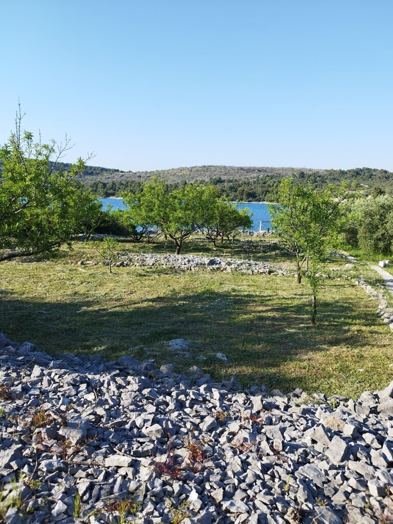 Image 6210165 - 2