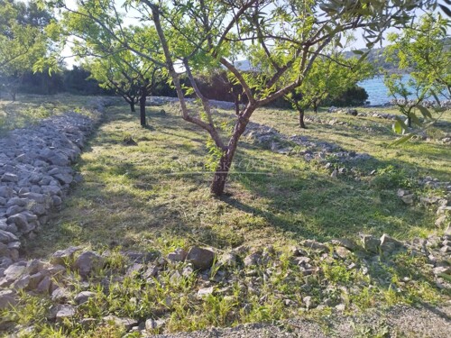 Thumbnail 6210165 - 4