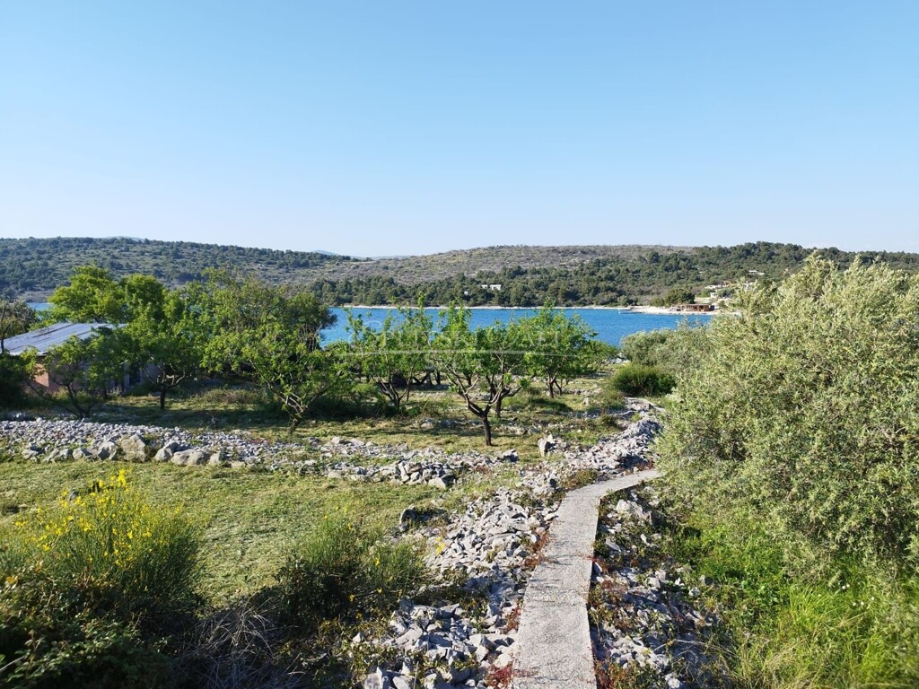 Image 6210165 - 1
