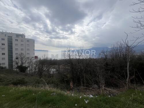 Thumbnail 6210187 - 1