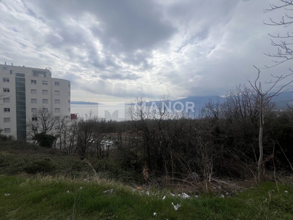 Image 6210187 - 1