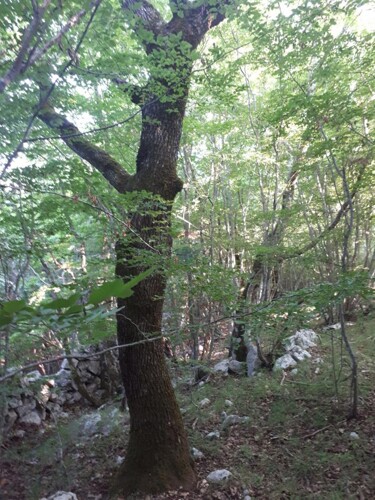 Thumbnail 6210204 - 1