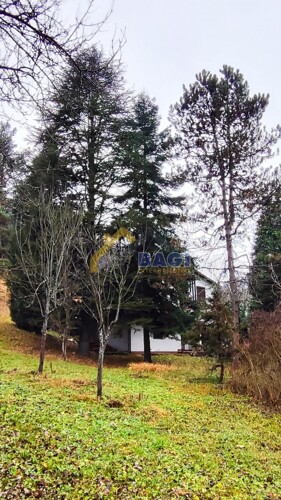 Thumbnail 6210602 - 16