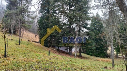 Thumbnail 6210602 - 15