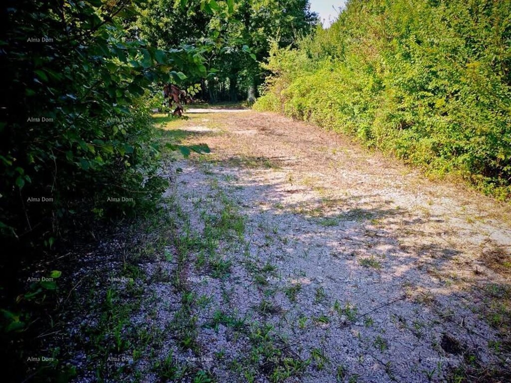 Image 6210619 - 5