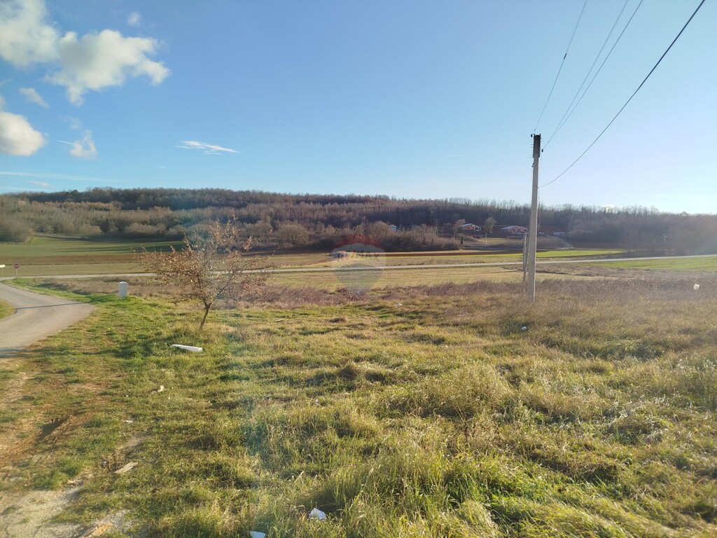 Image 6210826 - 5
