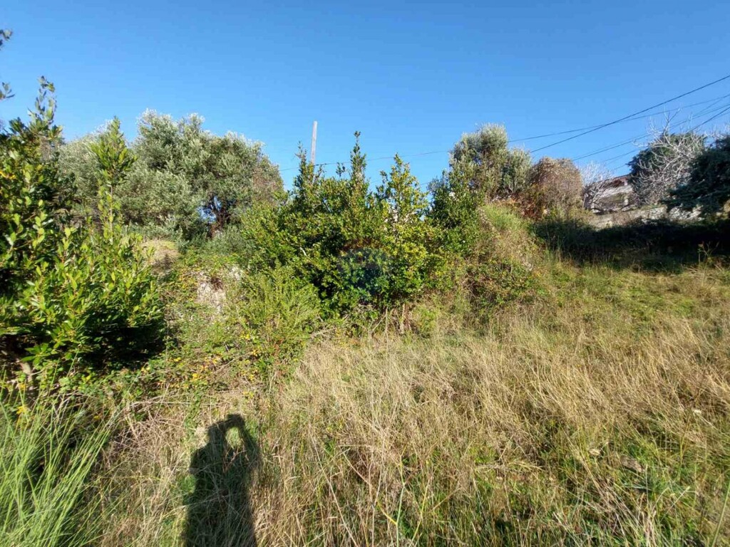 Image 6210831 - 2