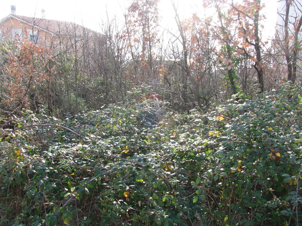 Image 6211449 - 1