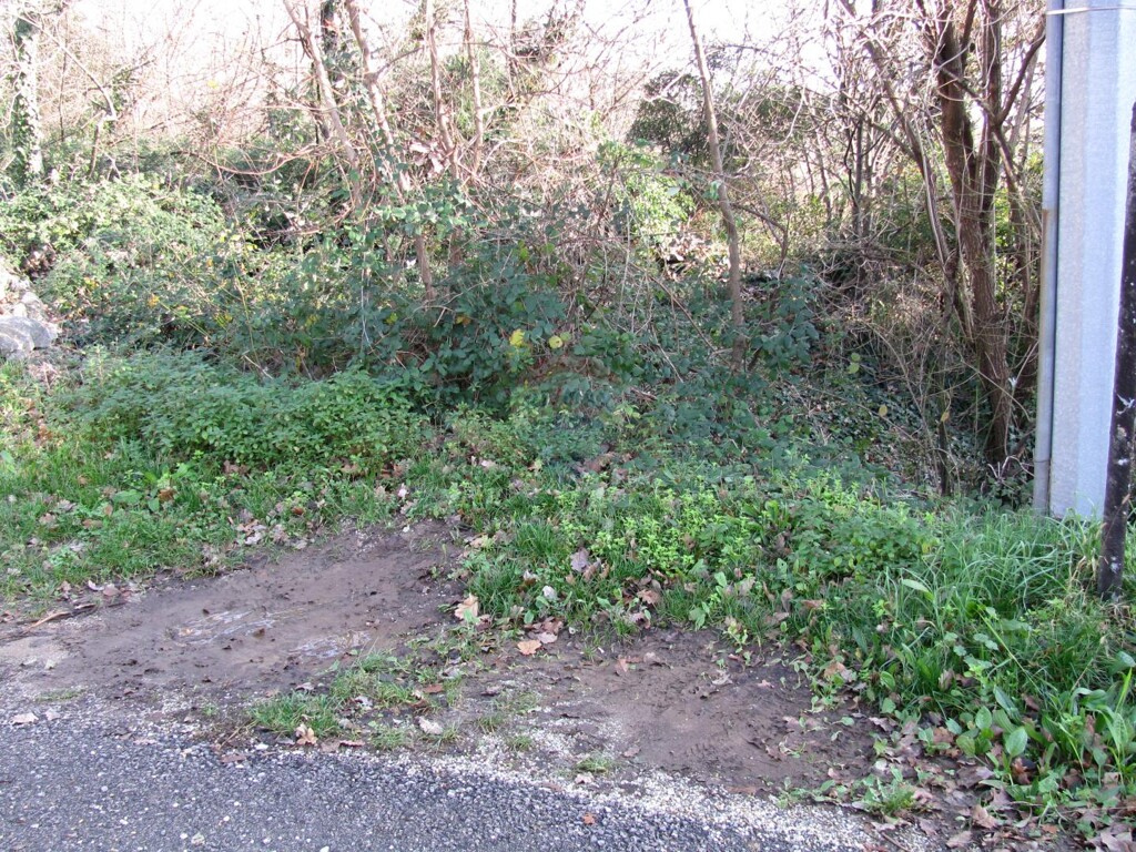 Image 6211449 - 4