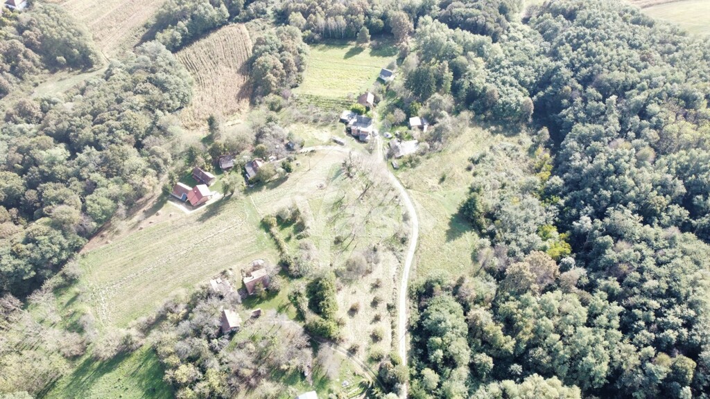 Image 6211453 - 24