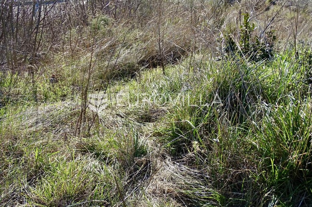 Image 6211803 - 3