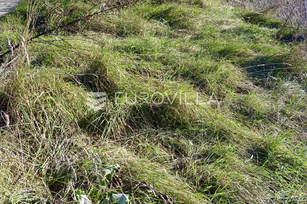 Image 6211822 - 4