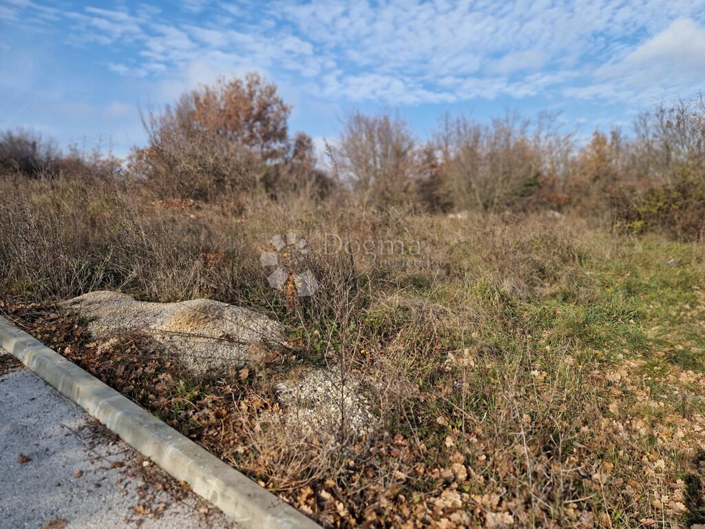 Image 6211854 - 3
