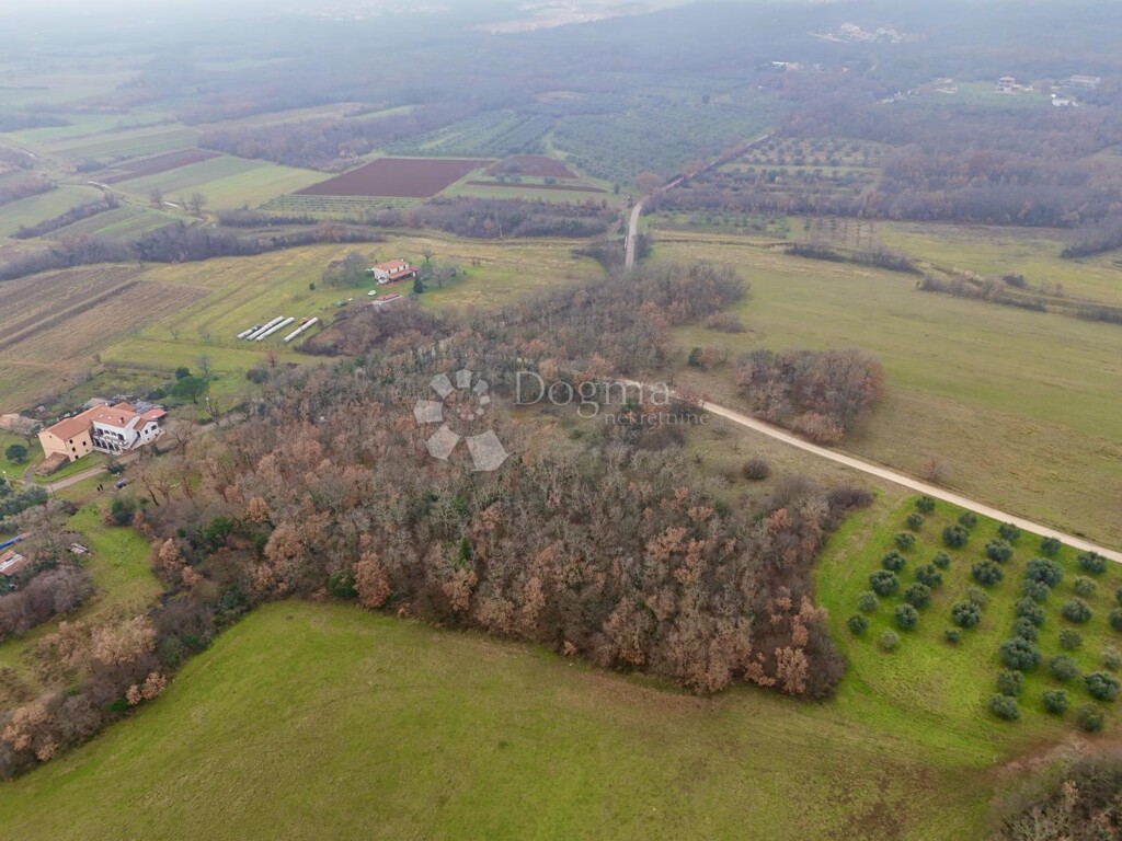 Image 6211867 - 4