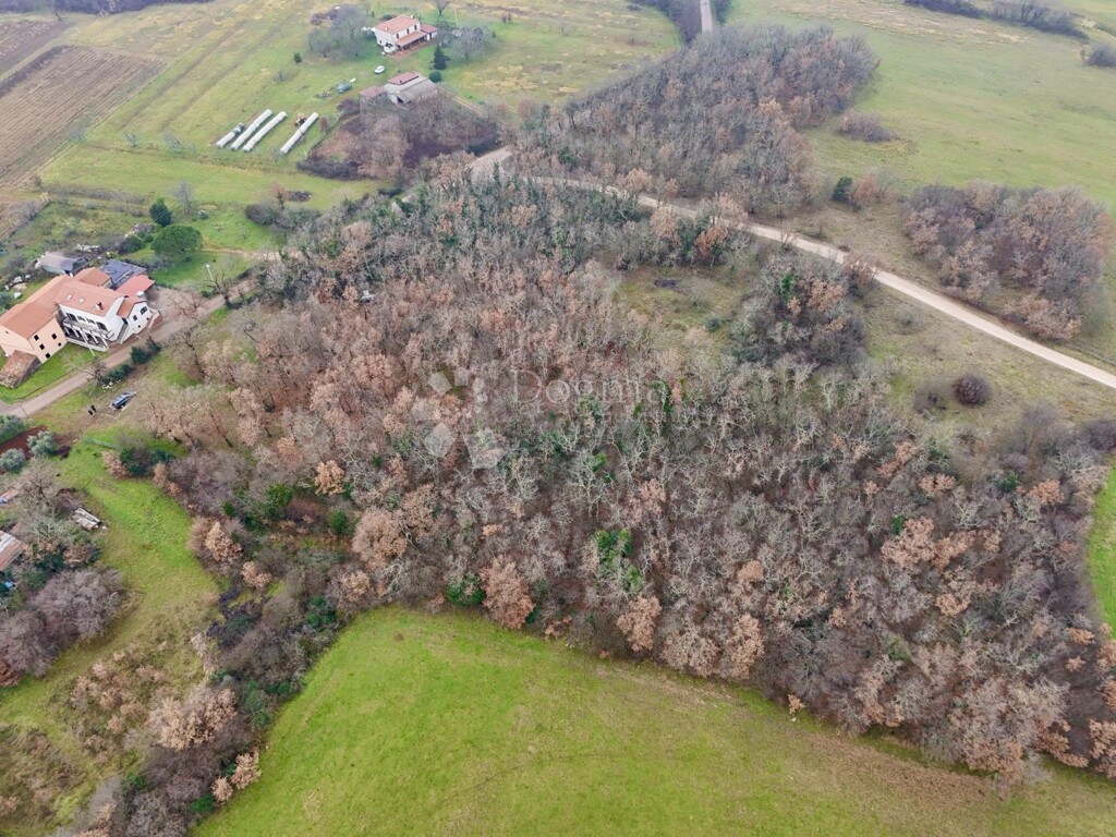 Image 6211867 - 7