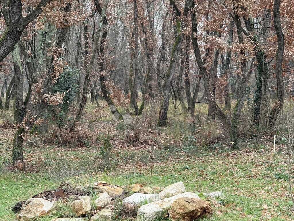 Image 6211867 - 9