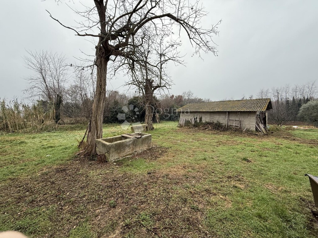 Image 6211869 - 5