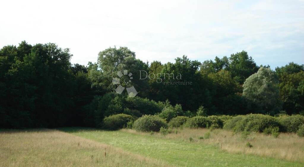 Image 6211875 - 1