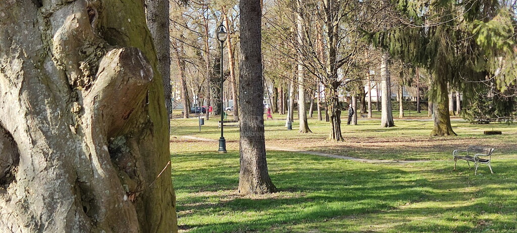 Image 6211885 - 11