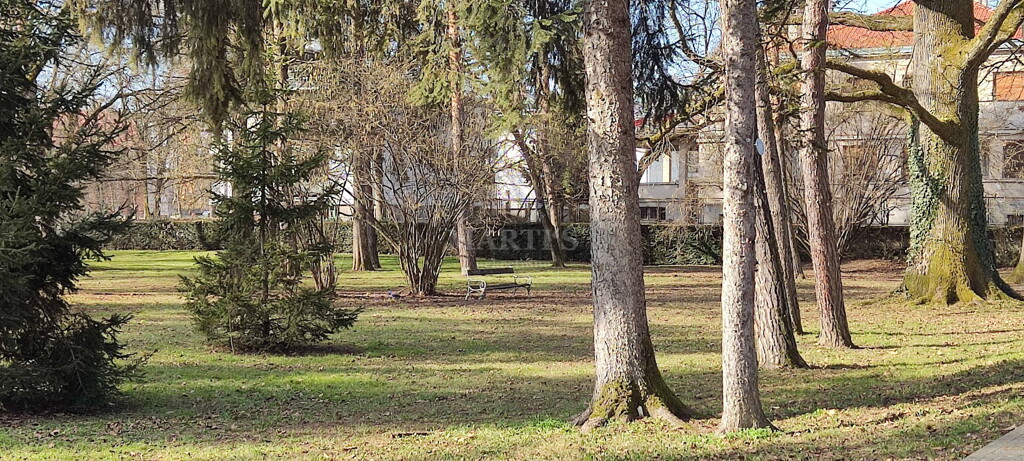 Image 6211885 - 10