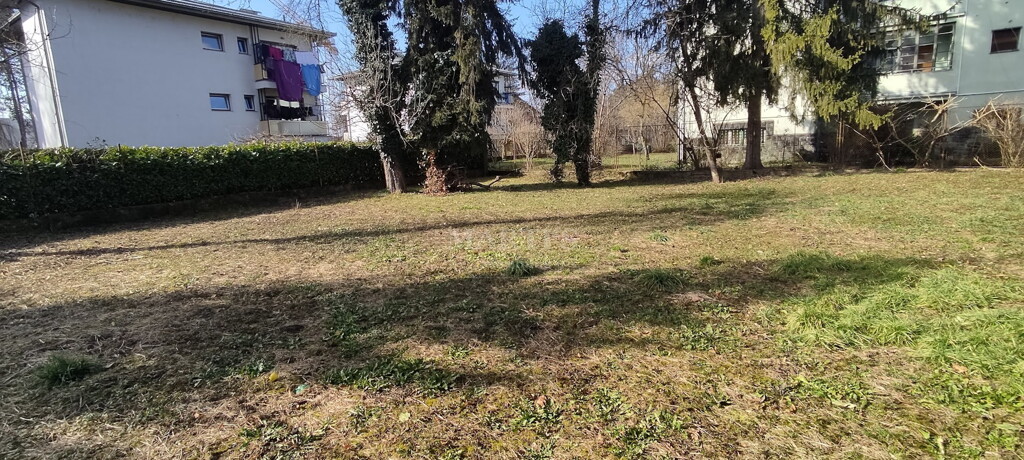 Image 6211885 - 3