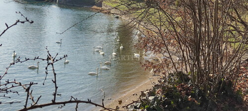 Thumbnail 6211885 - 14