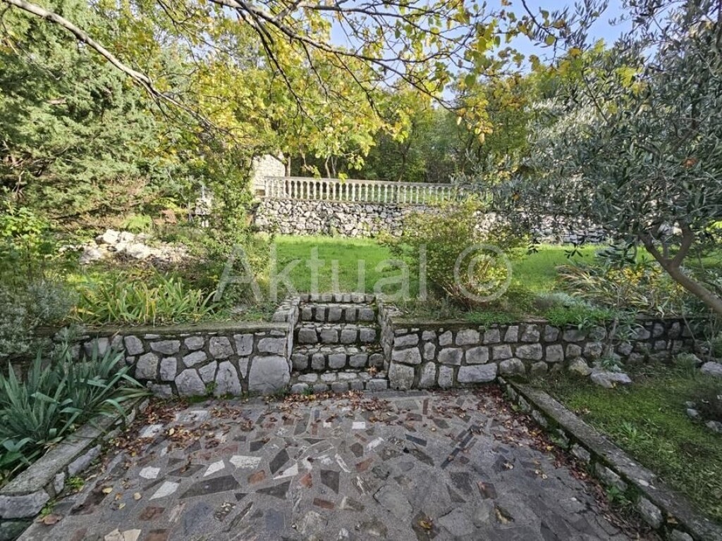 Image 6211934 - 15