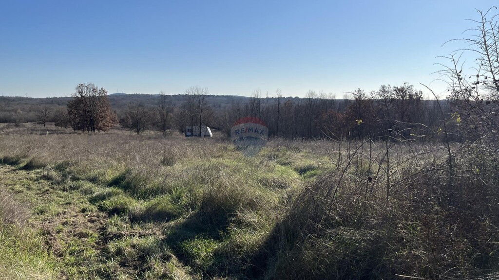 Image 6212072 - 1