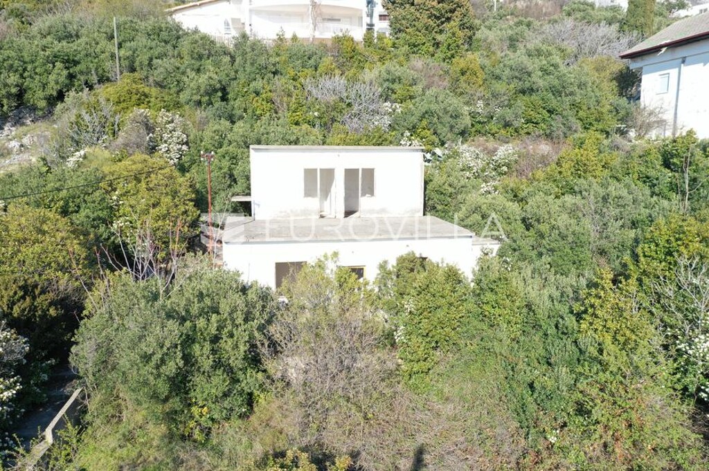 Image 6212429 - 1