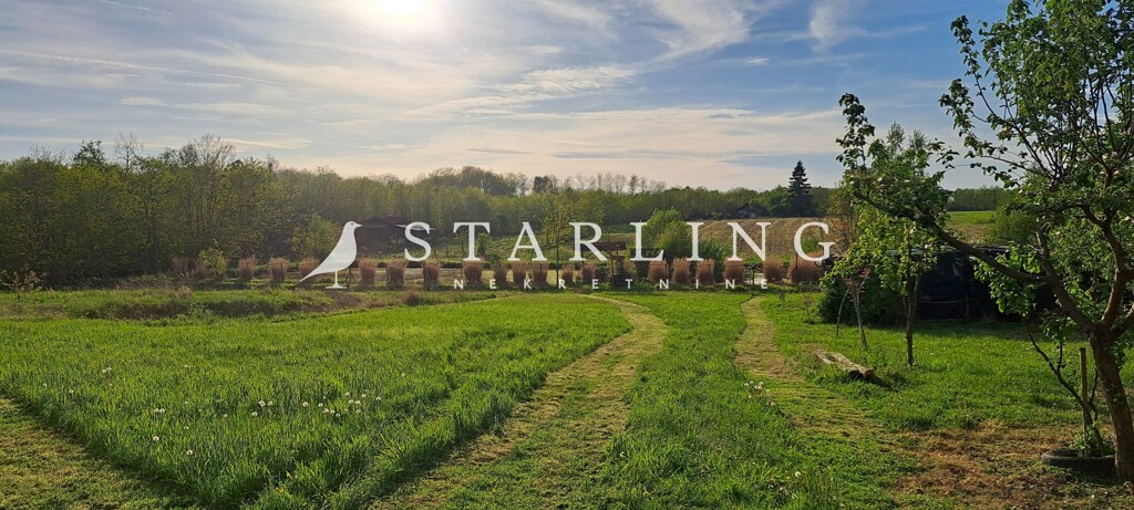 Image 6212444 - 3