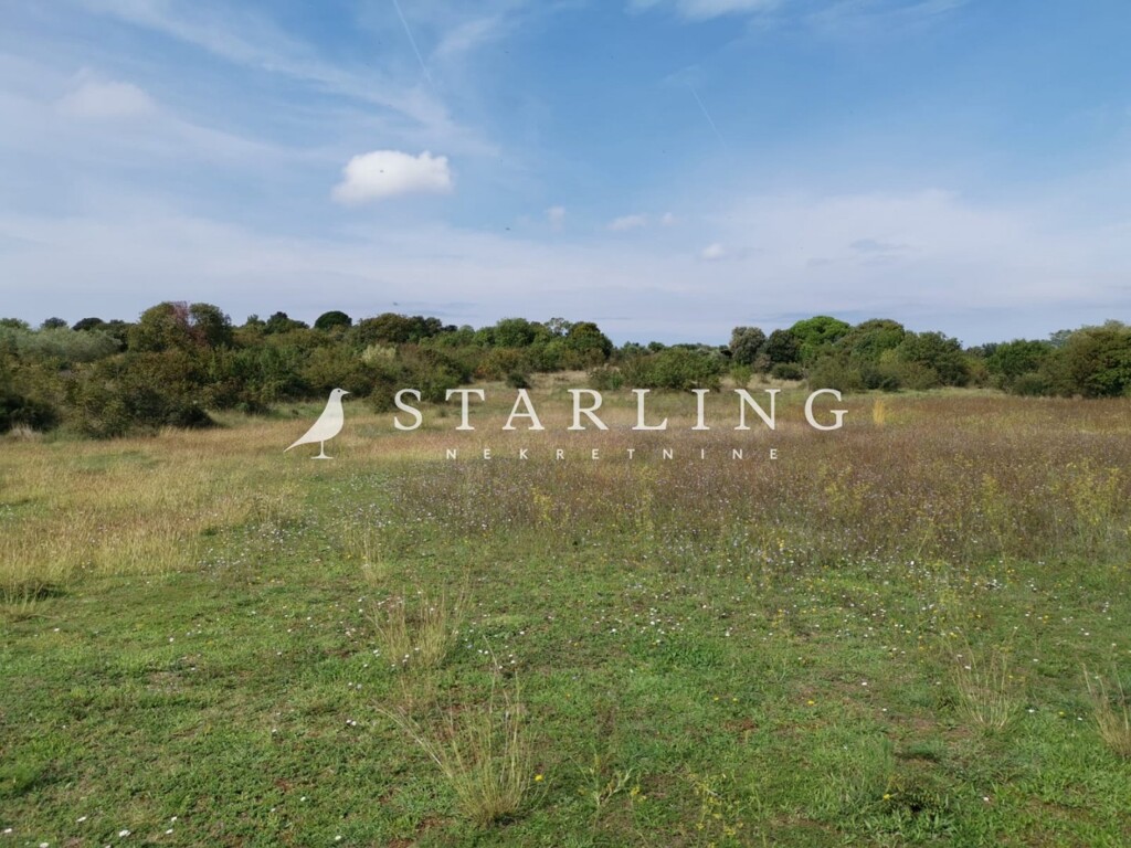 Image 6212447 - 1