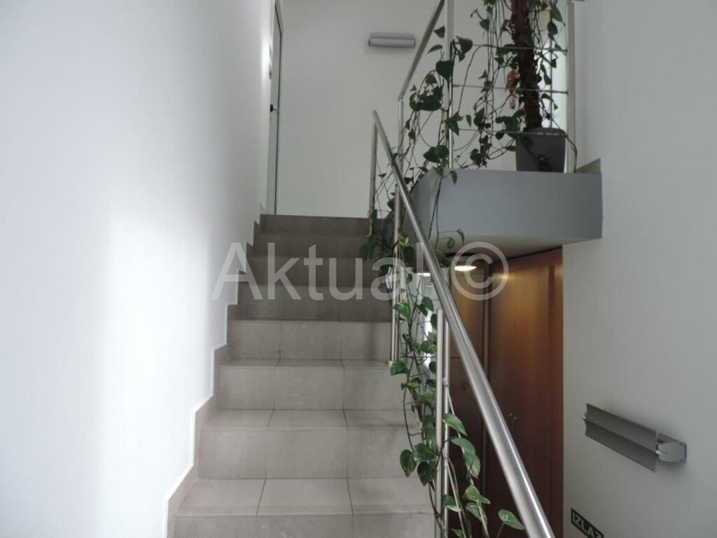 Image 6212533 - 4