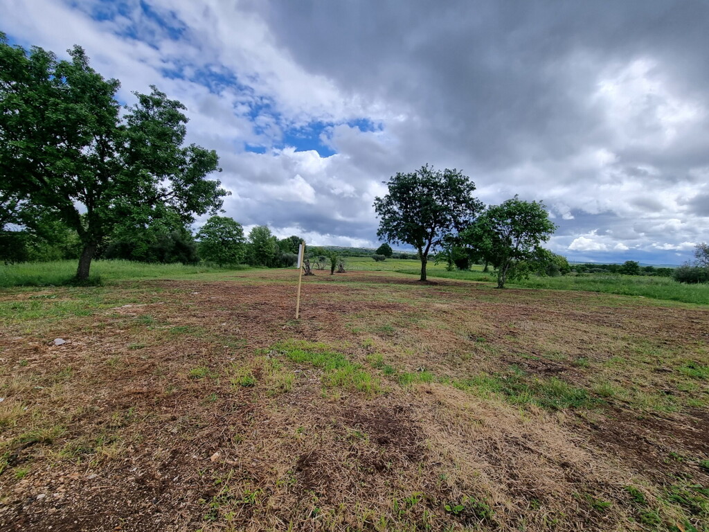 Image 6212697 - 1