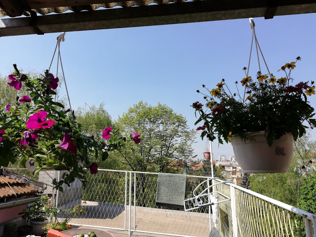 Image 6212821 - 2