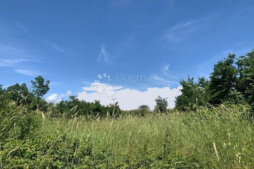 Thumbnail 6213166 - 6