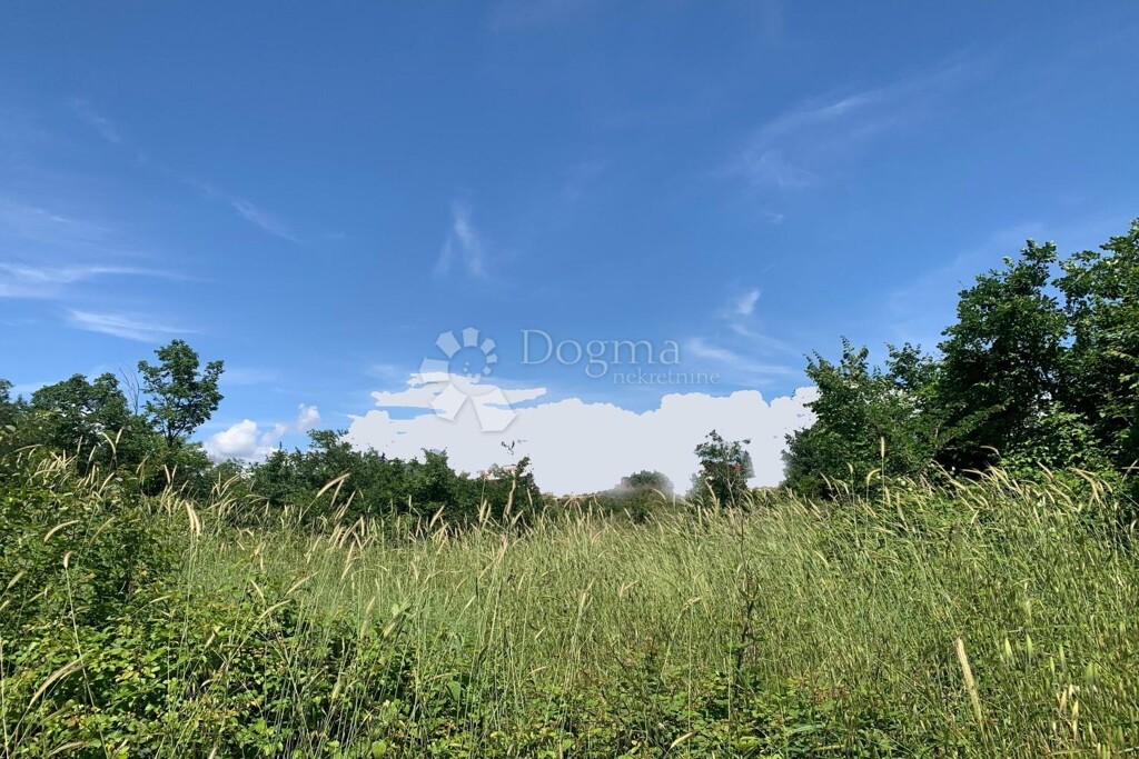 Image 6213166 - 6