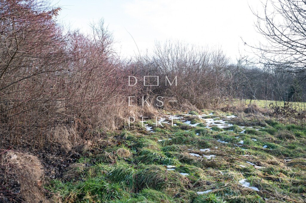 Image 6213189 - 6