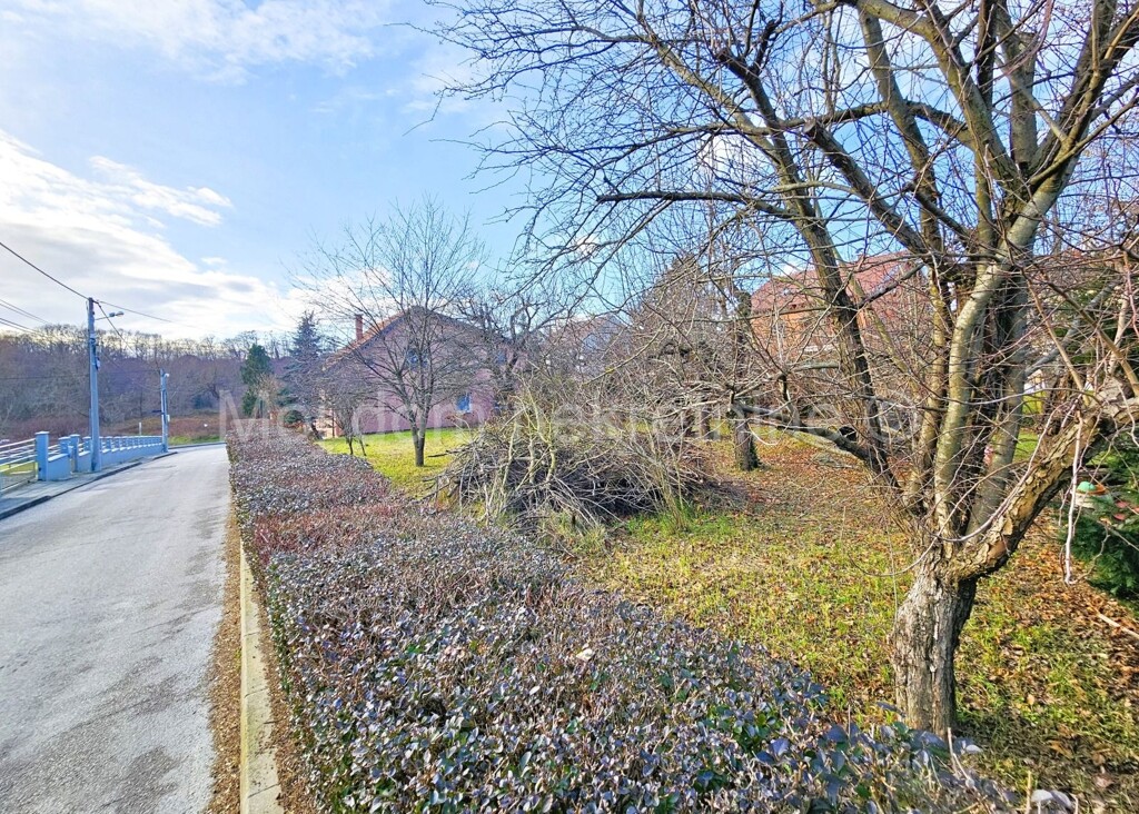 Image 6213243 - 2