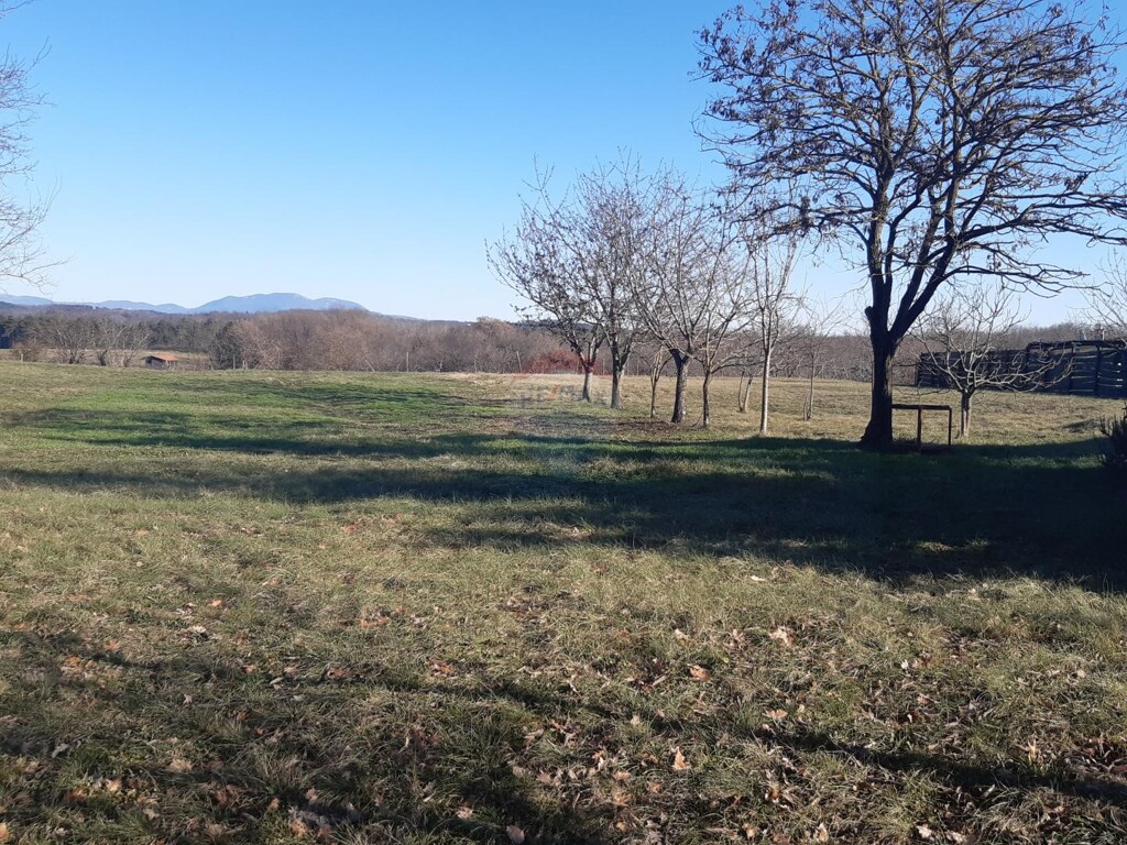 Image 6213683 - 4