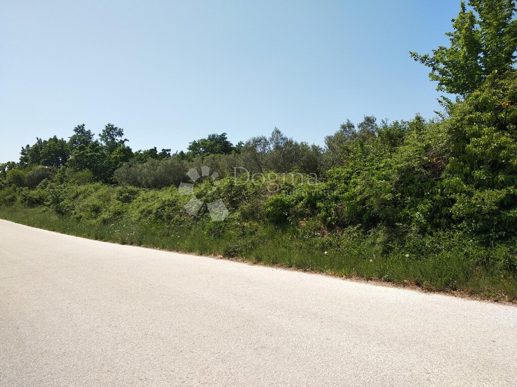 Image 6213875 - 5
