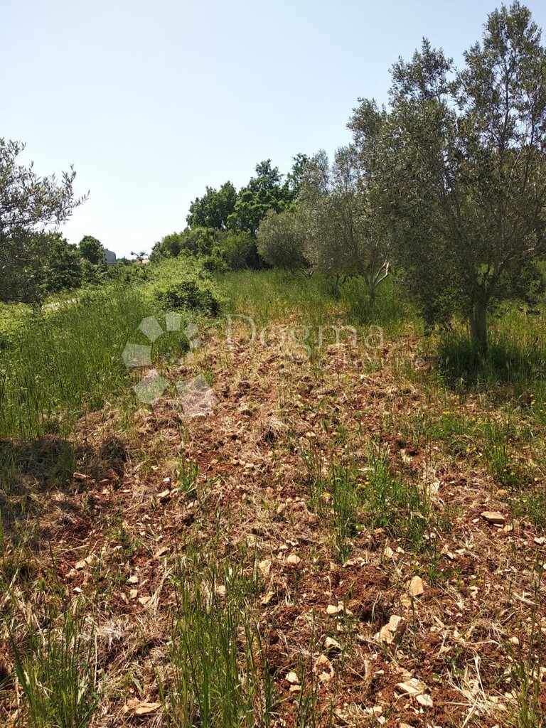 Image 6213875 - 3