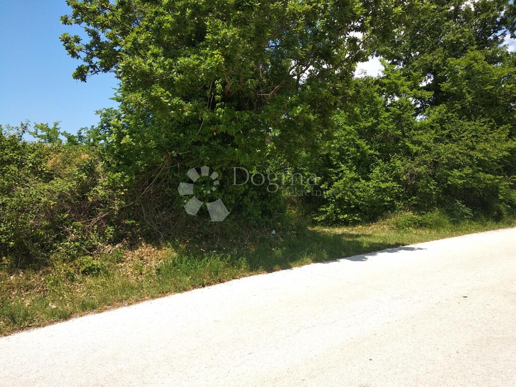 Image 6213875 - 4