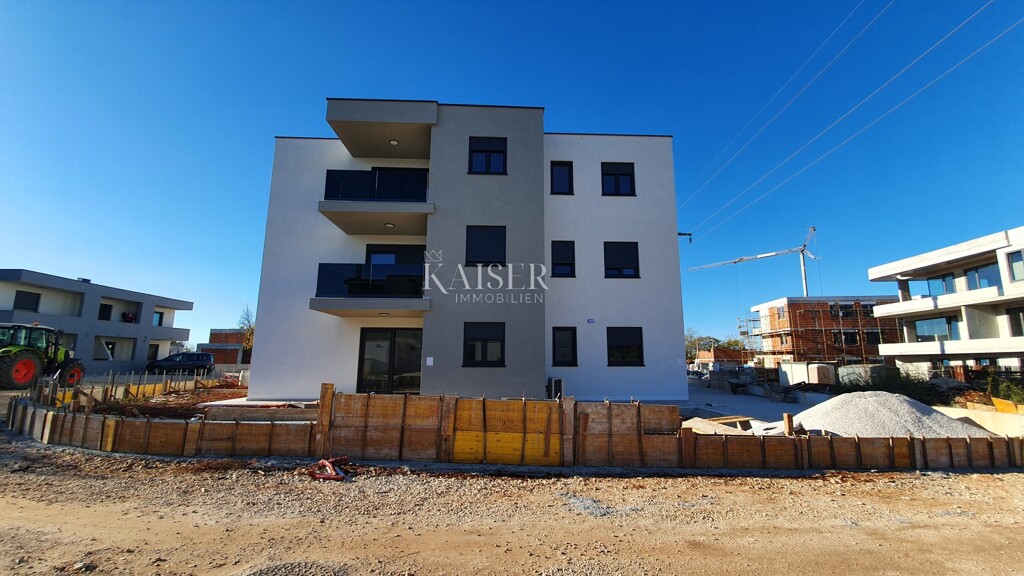 Image 6213901 - 3