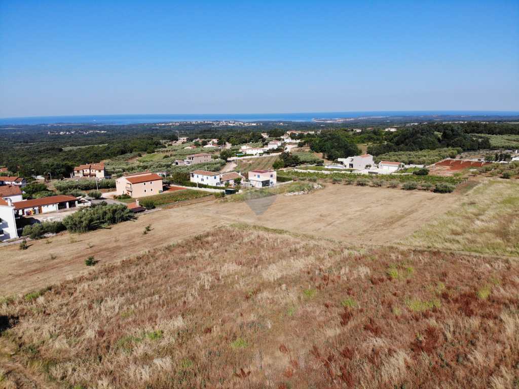 Image 6213912 - 4
