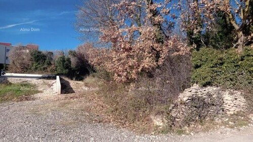 Thumbnail 6213967 - 3