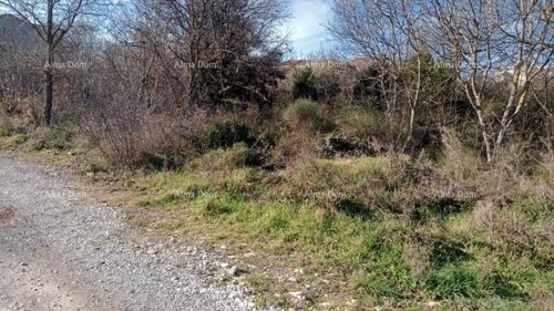 Thumbnail 6213967 - 2