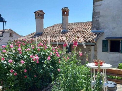 Thumbnail 6213989 - 3